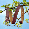 Cintura donna 07m biz bordeaux