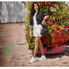 Scarpe sportive da donna 6074 bianco combinato lifestyle